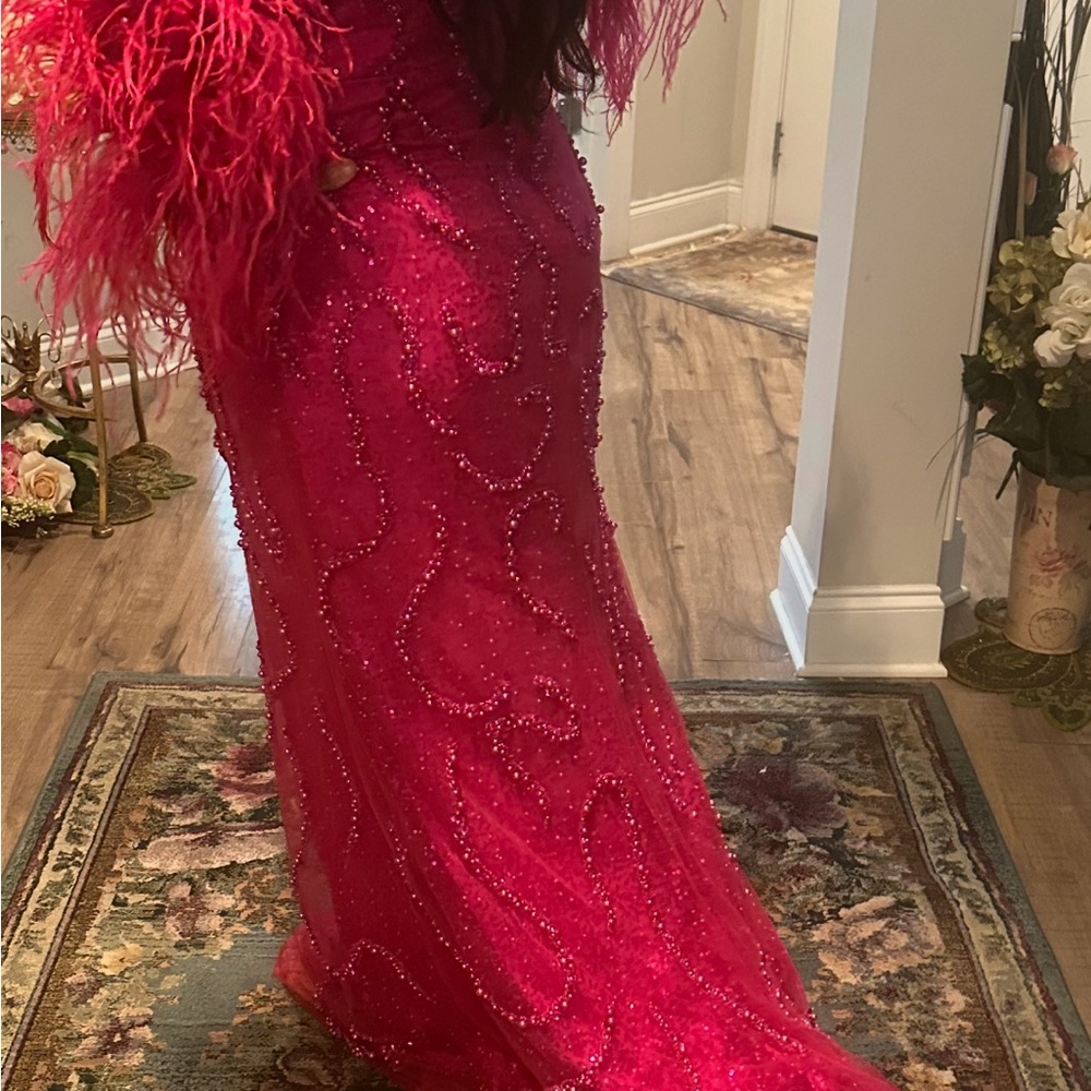 Elegant hot pink Feathered Gowned - Picture 7 of 8